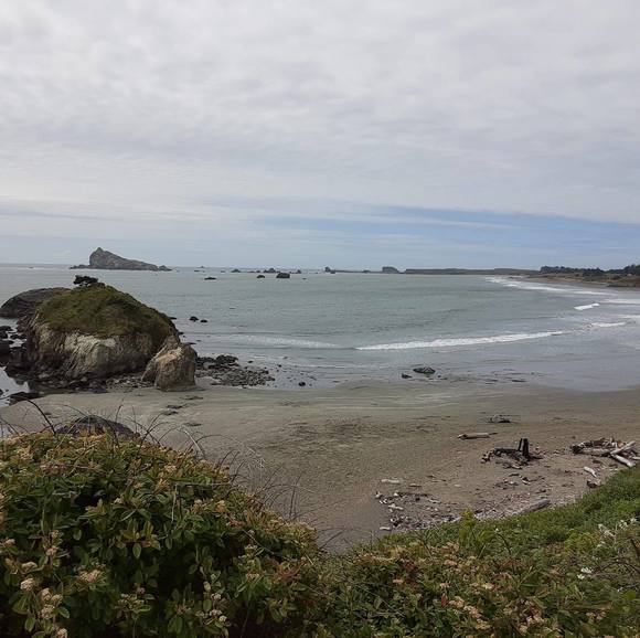 Meet your Posher, Ashton - Picture 1 of 1